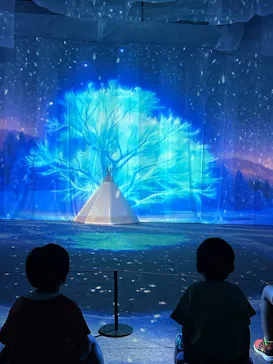 オーロラと森のものがたり展 　～ヒュッゲと童話がおしえてくれたもの～に投稿された画像（2026/7/29）