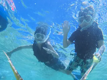 元気玉に投稿された画像（2026/7/29）