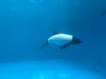 仙台うみの杜水族館に投稿された画像（2026/7/29）