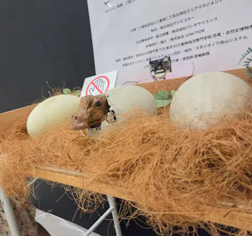 「YAESU KIDS EXPO 2026 ダイナソーラボ」～東京ミッドタウン八重洲でティラノサウルスと学ぼう！～に投稿された画像（2026/7/29）