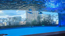 サンシャイン水族館に投稿された画像（2026/7/29）