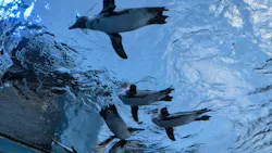 サンシャイン水族館に投稿された画像（2026/7/29）