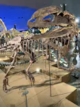 福井県立恐竜博物館に投稿された画像（2026/7/29）