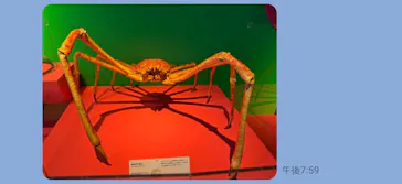 特別展「いきもの超ワールド展　国立科学博物館×ダーウィンが来た！」（国立科学博物館）に投稿された画像（2026/7/29）