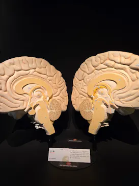 特別展「いきもの超ワールド展　国立科学博物館×ダーウィンが来た！」（国立科学博物館）に投稿された画像（2026/7/29）