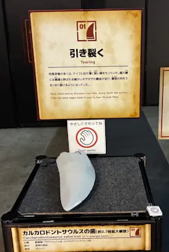 ヨコハマ恐竜展２０２６～恐竜の食卓大図鑑～に投稿された画像（2026/7/29）