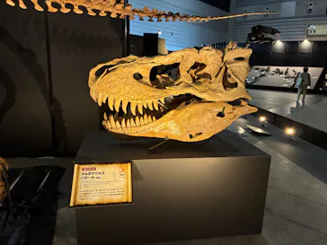 ヨコハマ恐竜展２０２６～恐竜の食卓大図鑑～に投稿された画像（2026/7/29）