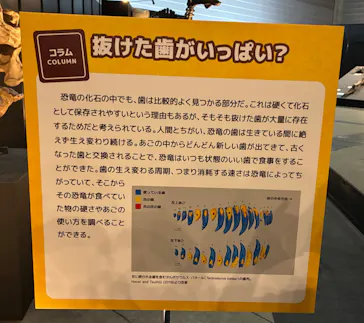 ヨコハマ恐竜展２０２６～恐竜の食卓大図鑑～に投稿された画像（2026/7/29）