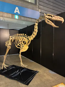 ヨコハマ恐竜展２０２６～恐竜の食卓大図鑑～に投稿された画像（2026/7/29）