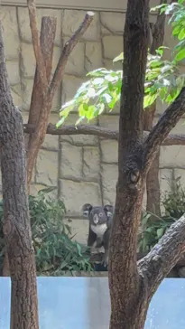 名古屋市東山動植物園に投稿された画像（2026/7/29）
