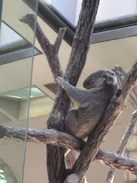名古屋市東山動植物園に投稿された画像（2026/7/29）