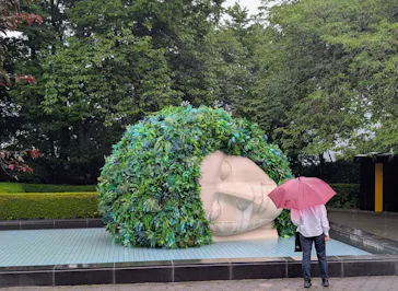 彫刻の森美術館に投稿された画像（2026/7/29）