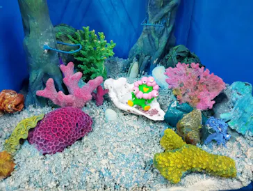 海洋堂ホビーロビー大阪に投稿された画像（2026/7/29）