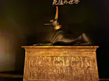 MYSTERY OF TUTANKHAMEN 体感型古代エジプト展に投稿された画像（2026/7/29）