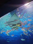 サンシャイン水族館に投稿された画像（2026/7/30）