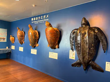 串本海中公園水族館に投稿された画像（2026/7/29）