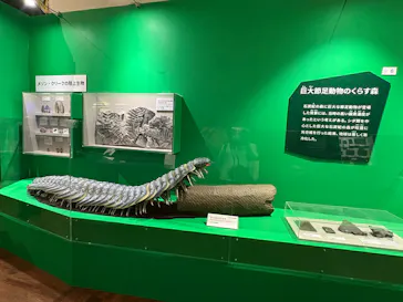 特別展　大絶滅展に投稿された画像（2026/7/30）