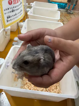 いきもの探検隊上尾に投稿された画像（2026/7/30）