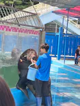 ゼロ距離水族館 伊勢シーパラダイスに投稿された画像（2026/7/30）