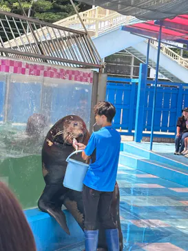 ゼロ距離水族館 伊勢シーパラダイスに投稿された画像（2026/7/30）