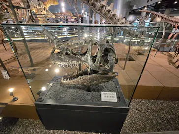福井県立恐竜博物館に投稿された画像（2026/7/30）
