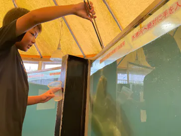 越前松島水族館に投稿された画像（2026/7/30）