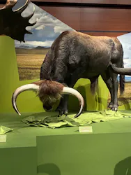 特別展「氷河期展　人類が見た４万年前の世界」（福岡会場）に投稿された画像（2026/7/30）
