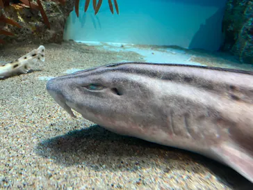 アクアワールド茨城県大洗水族館に投稿された画像（2026/7/30）