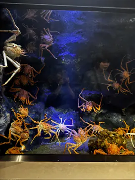竹島水族館に投稿された画像（2026/7/30）