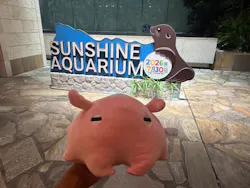 サンシャイン水族館に投稿された画像（2026/7/30）