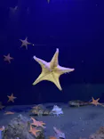 竹島水族館に投稿された画像（2026/7/30）