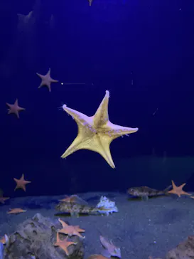 竹島水族館に投稿された画像（2026/7/30）