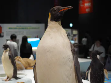 大南極展に投稿された画像（2026/7/30）