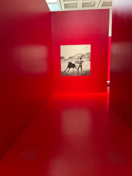 ピカソ meets ポール・スミス　遊び心の冒険へに投稿された画像（2026/7/30）