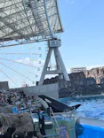 名古屋港水族館に投稿された画像（2026/7/30）