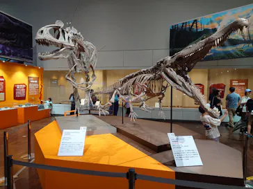 特別展　大絶滅展に投稿された画像（2026/7/30）
