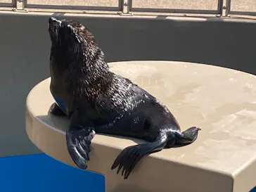 アクアワールド茨城県大洗水族館に投稿された画像（2026/7/30）