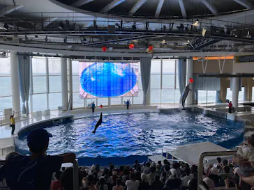 アクアワールド茨城県大洗水族館に投稿された画像（2026/7/30）