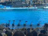 名古屋港水族館に投稿された画像（2026/7/31）