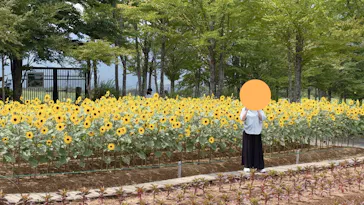 牧歌の里に投稿された画像（2026/7/31）