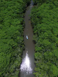 石垣島アクティビティクラブに投稿された画像（2026/7/31）