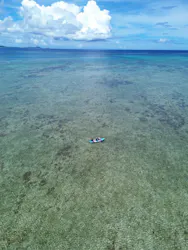 石垣島アクティビティクラブに投稿された画像（2026/7/31）