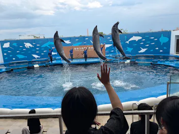 仙台うみの杜水族館に投稿された画像（2026/7/31）
