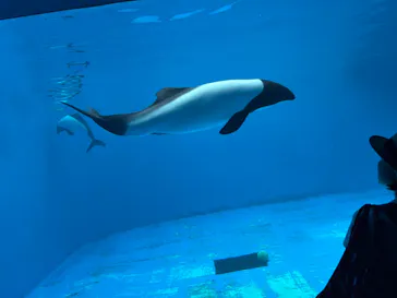 仙台うみの杜水族館に投稿された画像（2026/7/31）