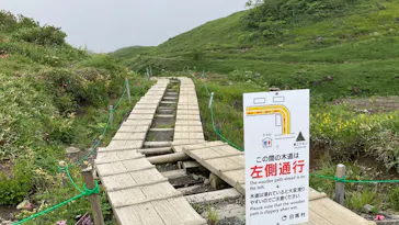 白馬八方尾根に投稿された画像（2026/7/31）