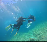 武藤潜水に投稿された画像（2026/7/31）