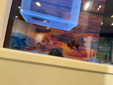 しながわ水族館に投稿された画像（2026/7/31）