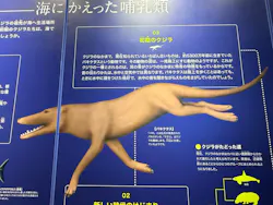 名古屋港水族館に投稿された画像（2026/7/31）