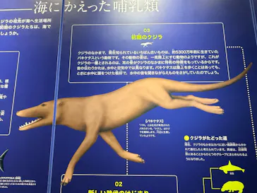 名古屋港水族館に投稿された画像（2026/7/31）