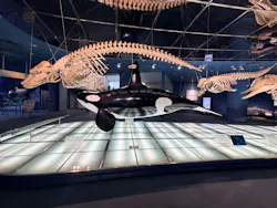 名古屋港水族館に投稿された画像（2026/7/31）